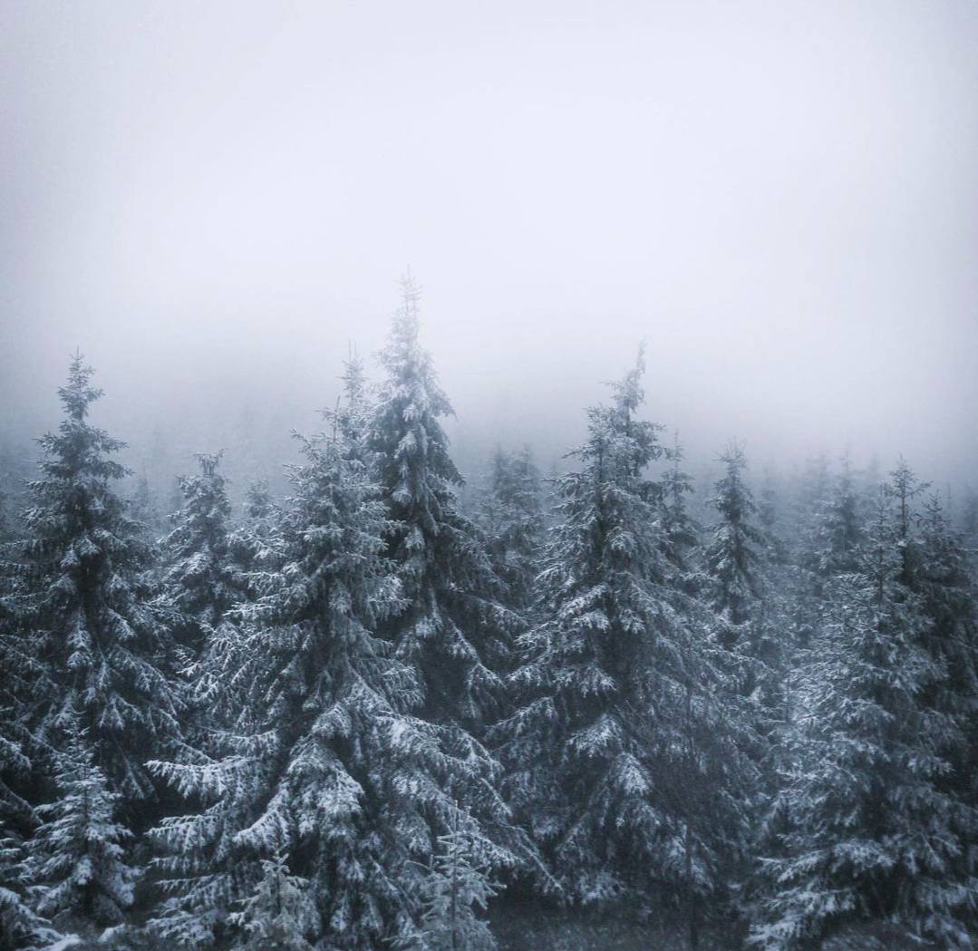 Замерзнет, кто рожден с холодным сердцем.