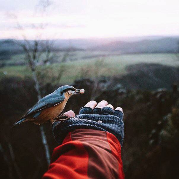 Любовь к миру всегда наполняет меня какой-то гордостью. Ненавидеть гораздо проще.