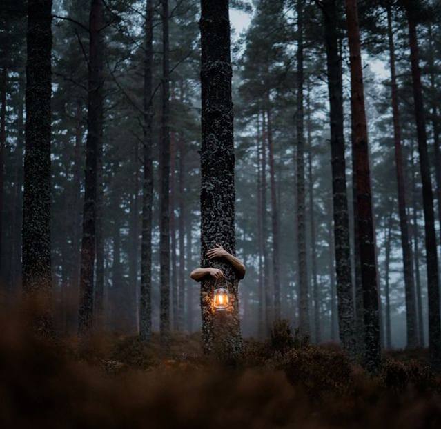 Не жалуйся на тьму. Стань сам маленьким источником света.