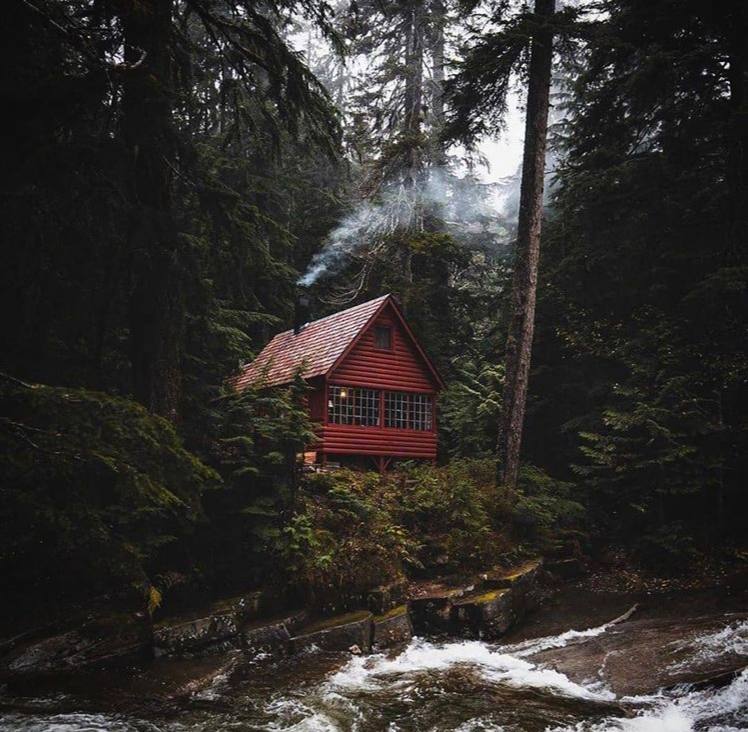 Найти бы только где-нибудь такую нору, такое прибежище, такой тайник, надёжный и тихий, ещё бы с...
