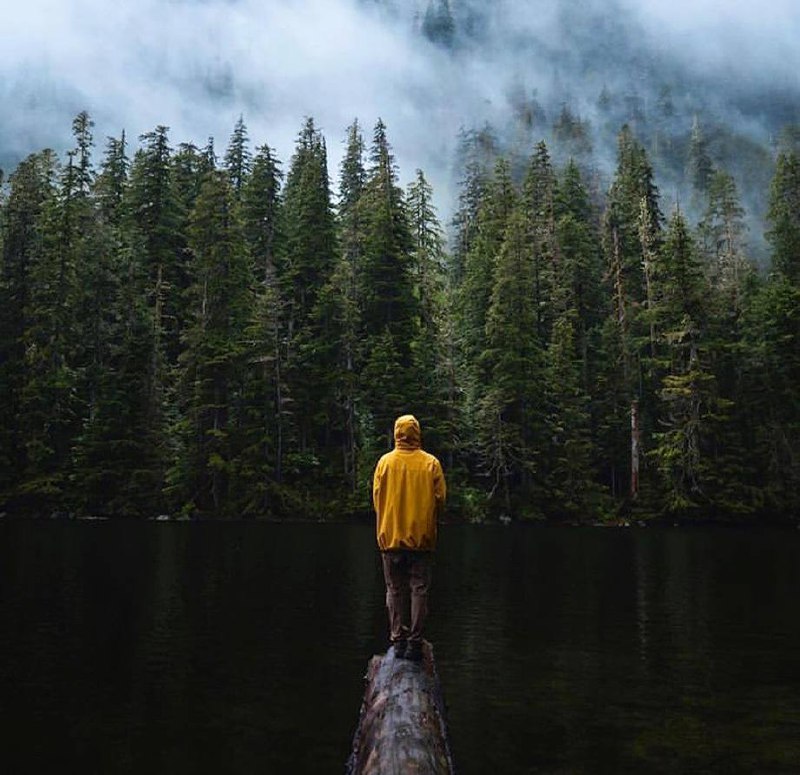 Все стремления и усилия природы завершаются человеком; к нему они стремятся, в него впадают, как в...