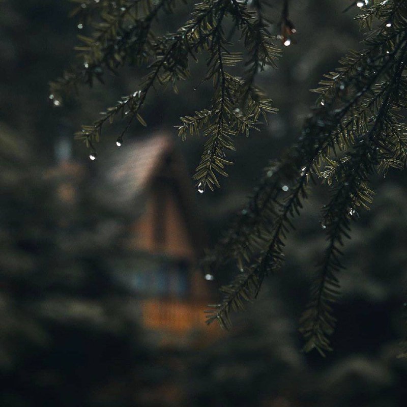 Внимание к мелочам рождает совершенство, а вот совершенство уже не мелочь.