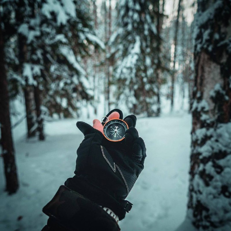 Занятие любимым делом наполняет нас энергией, даже когда мы физически утомлены