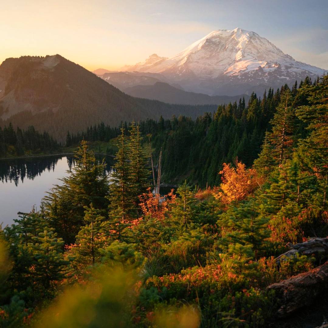 Мы путешествуем по миру, чтобы найти красоту; мы должны хранить её в себе, иначе она нам не...