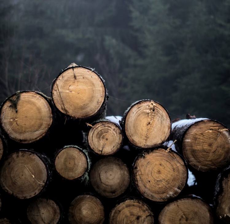 – Строить всегда трудно, – сказал он. – Когда ты голоден и тебе нужно поле, ты выжигаешь лес