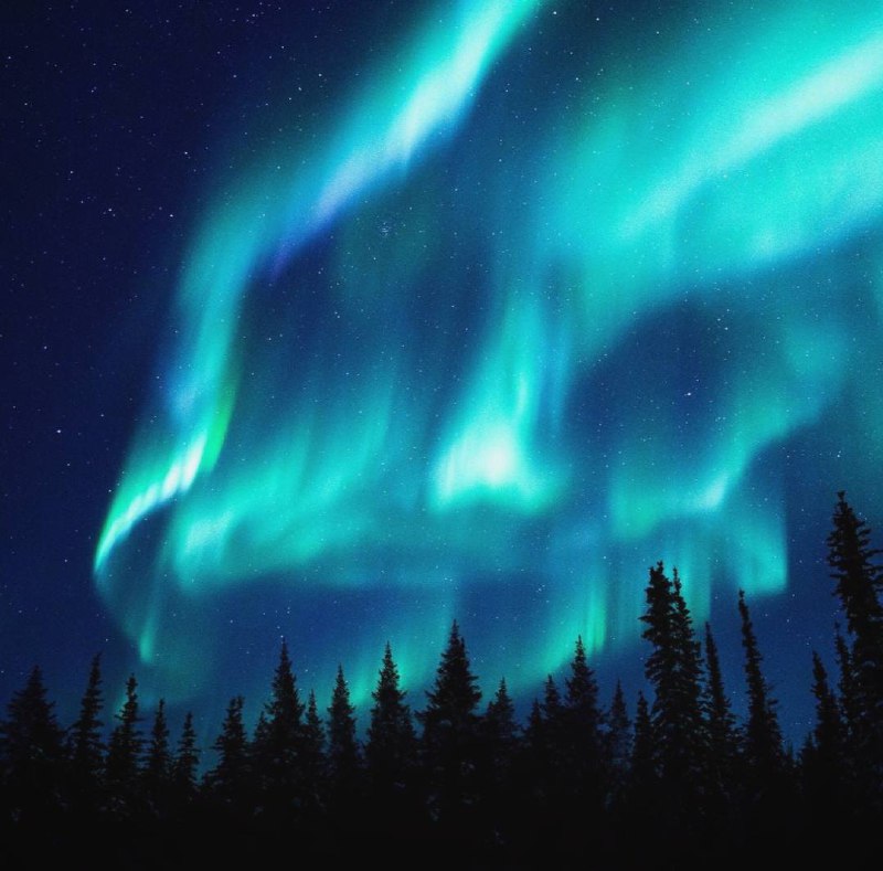 Мир — прекрасная книга, но бесполезная для того, кто не умеет читать.