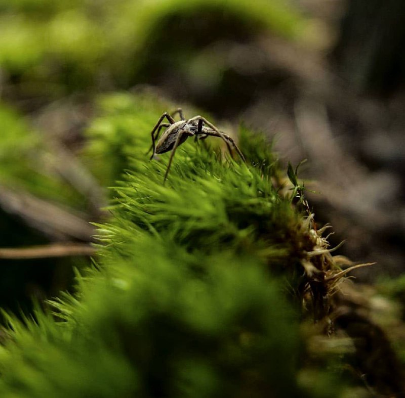 На свете нет ничего мелкого и ничтожного для такого мелкого и ничтожного существа, как человек.