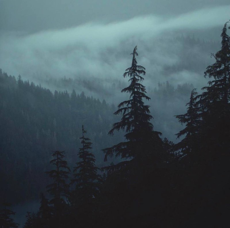 День утомляет меня, надоедает мне. Он груб и шумен