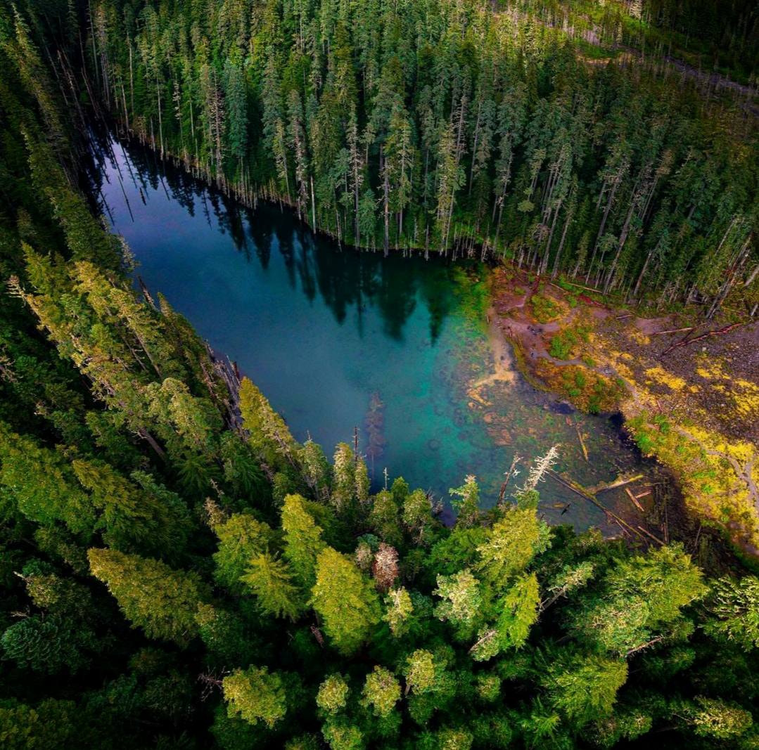 Для иных природа — это дрова, уголь, руда, или дача, или просто пейзаж