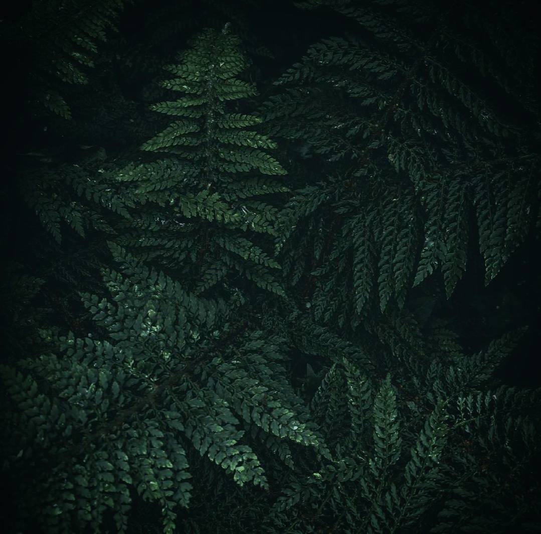 Жизнь тем и интересна, что в ней сны могут стать явью.