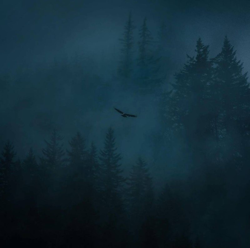 Однако нет такого человека, который бы знал себя до дна