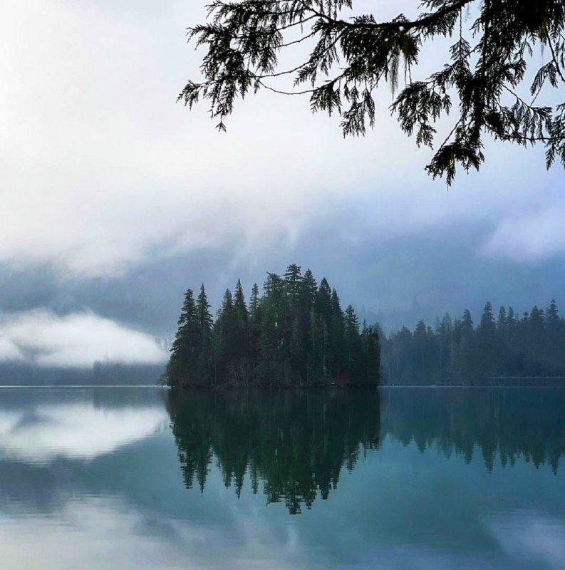 Я — это бросок природы, бросок в неизвестность, может быть, в новое, может быть, в никуда, и...
