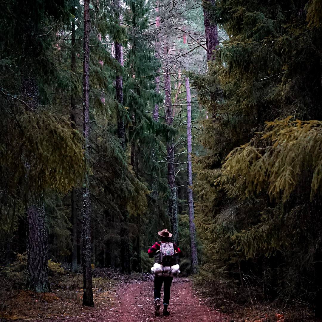 Что за блаженство опять остаться с самим собой, углубиться в себя и наслаждаться тишиной лесов!