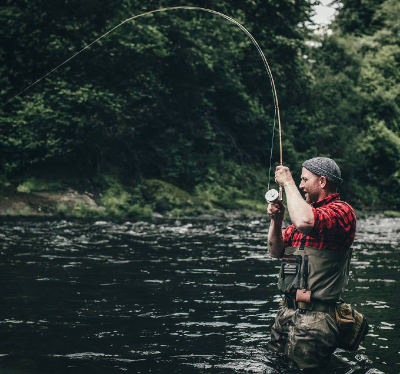 Иди, куда глаза глядят, рыбачь и охоться — каждый день все дальше и дальше — и беспечно отдыхай у...