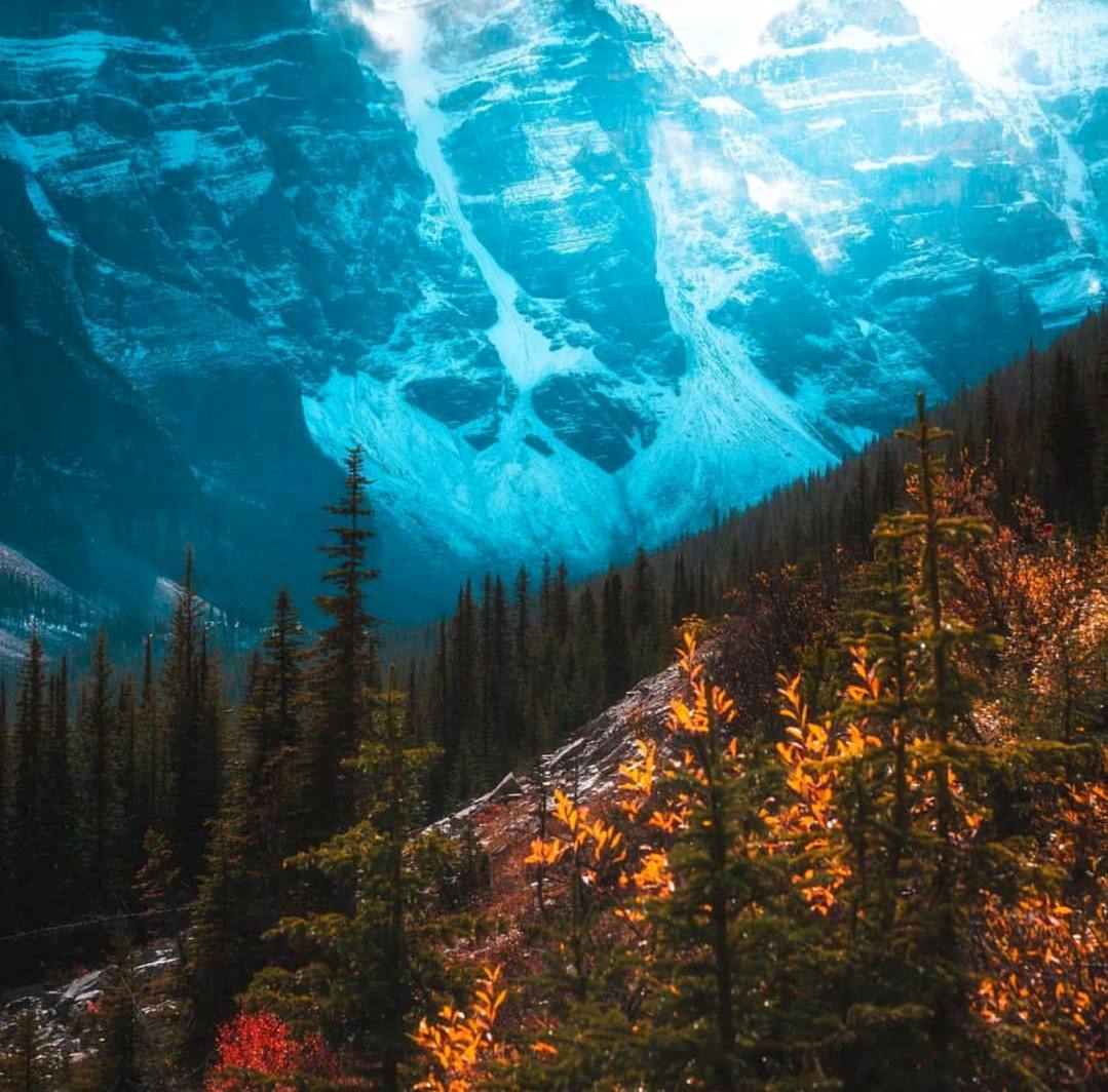 Среди природы я могу дышать полной грудью. И если уж опьяняться, то лучше всего воздухом.