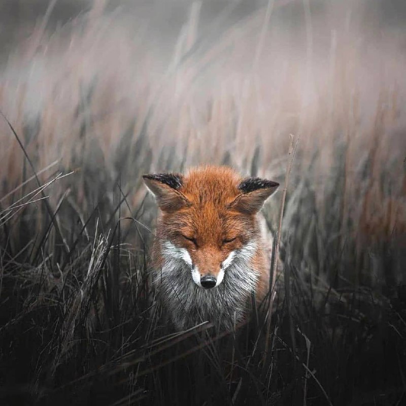 Привычка к отчаянию куда хуже, чем само отчаяние.