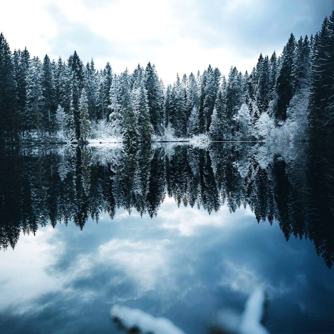 Глубочайшим образом люблю природу, силу человеческого духа и настоящую человеческую мечту