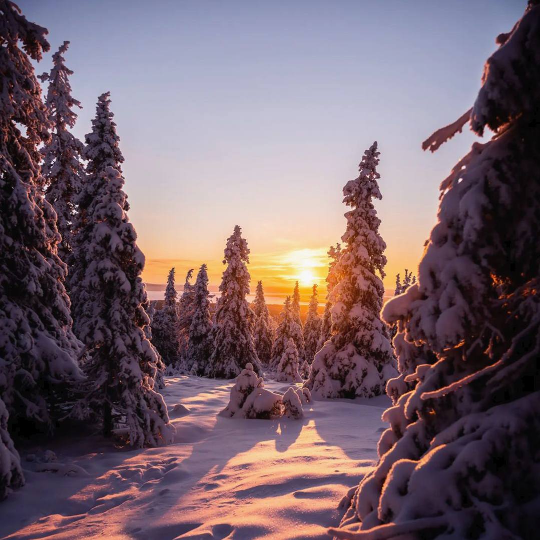 Природа нравится, влечет к себе и воодушевляет только потому, что она естественна.