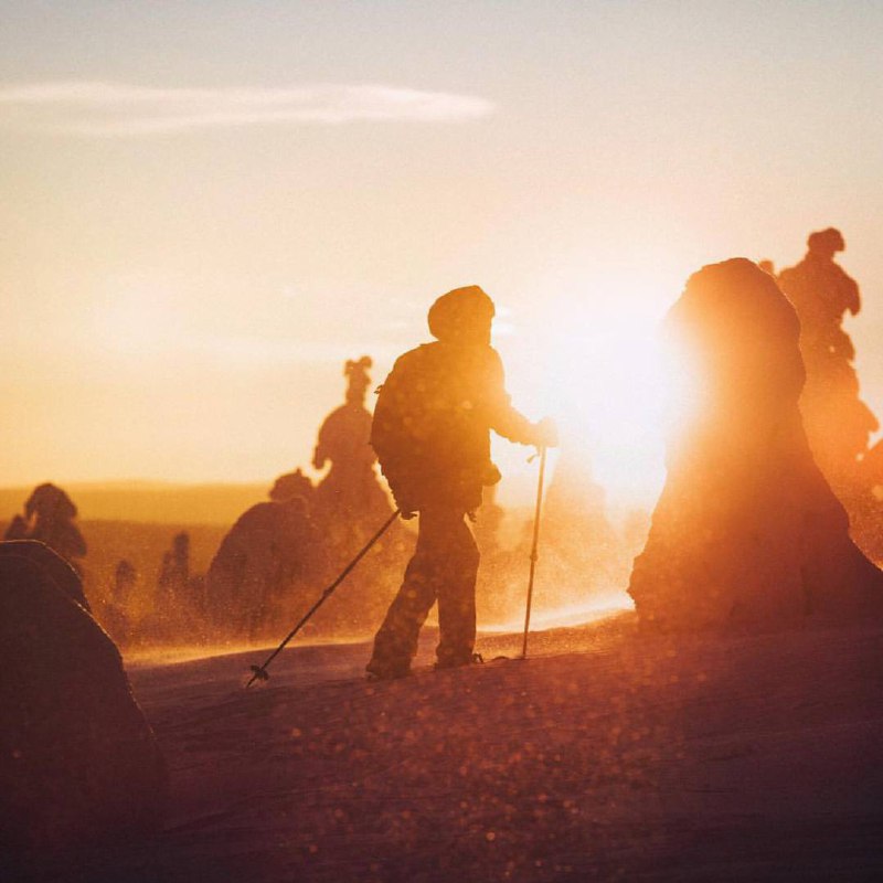 Не иди туда, куда ведет дорога. Иди туда, где дороги нет, и оставь свой след.