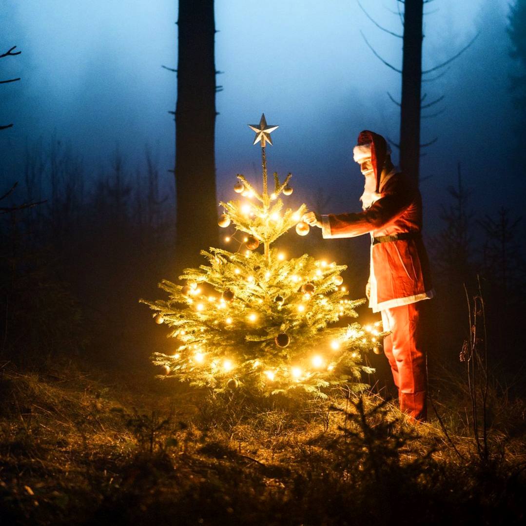 В новогоднюю ночь все желания имеют особую силу.