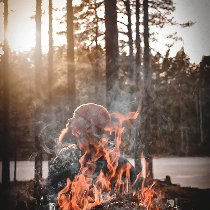 Я никогда не привыкну к весне. Год за годом она поражает