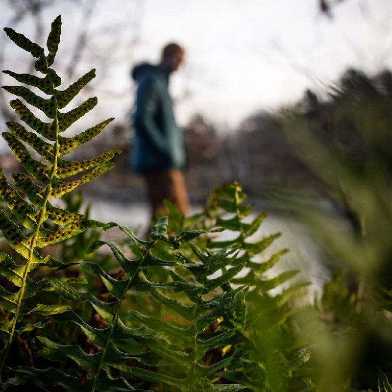 Так много людей несчастны и при этом не в состоянии изменить ситуацию, поскольку слишком привыкли...