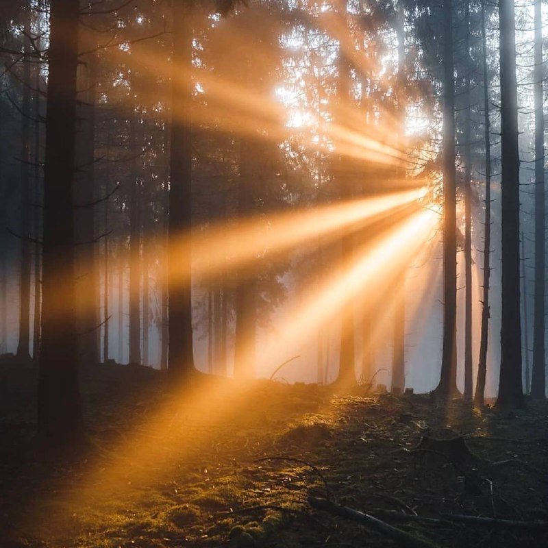 Удивительно, что может сделать один луч солнца с душой человека!