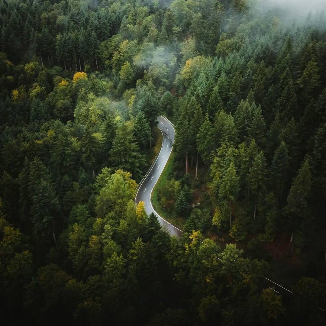 Дело не в дороге, которую мы выбираем; то, что внутри нас, заставляет нас выбирать дорогу.