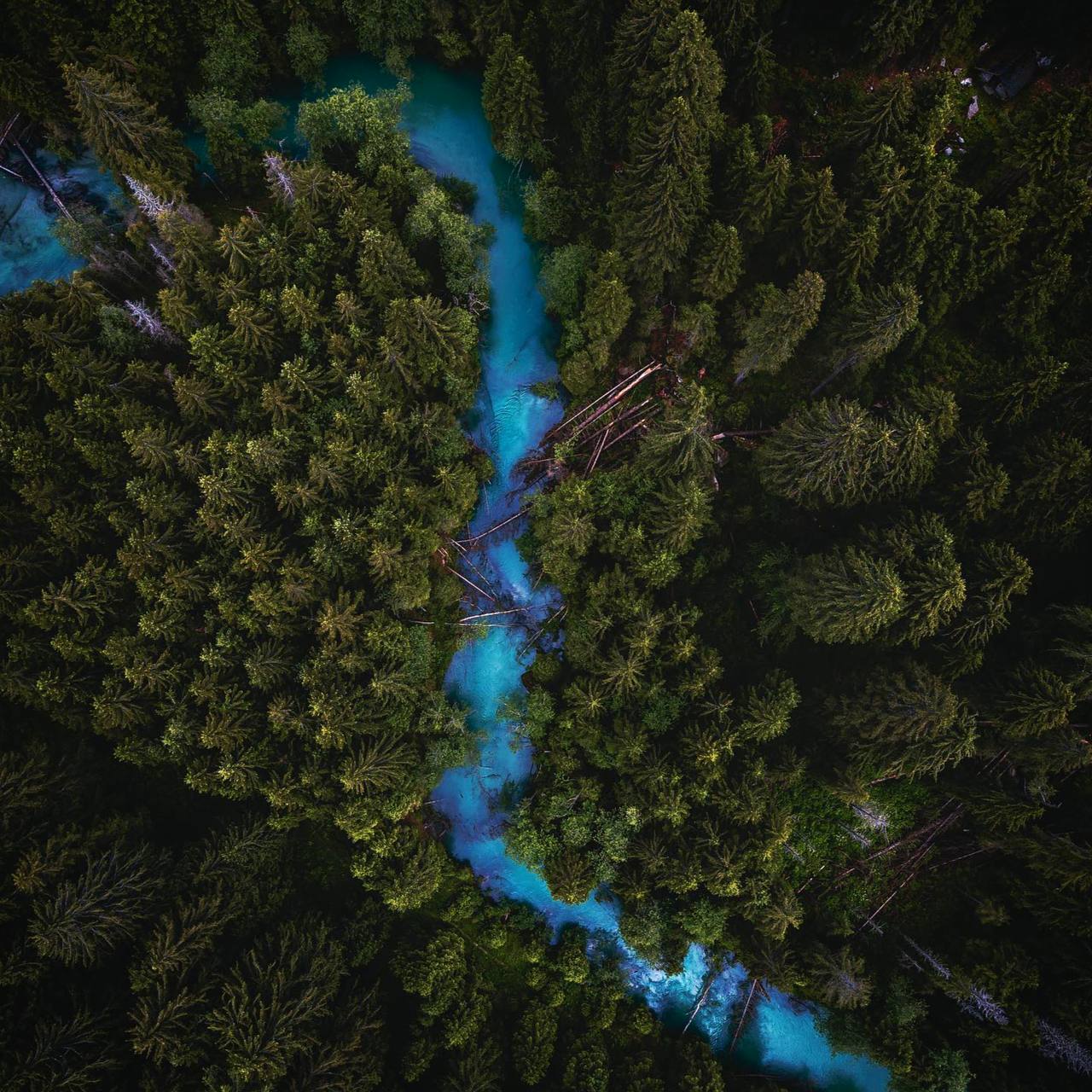 Природа ничего не создает без цели.