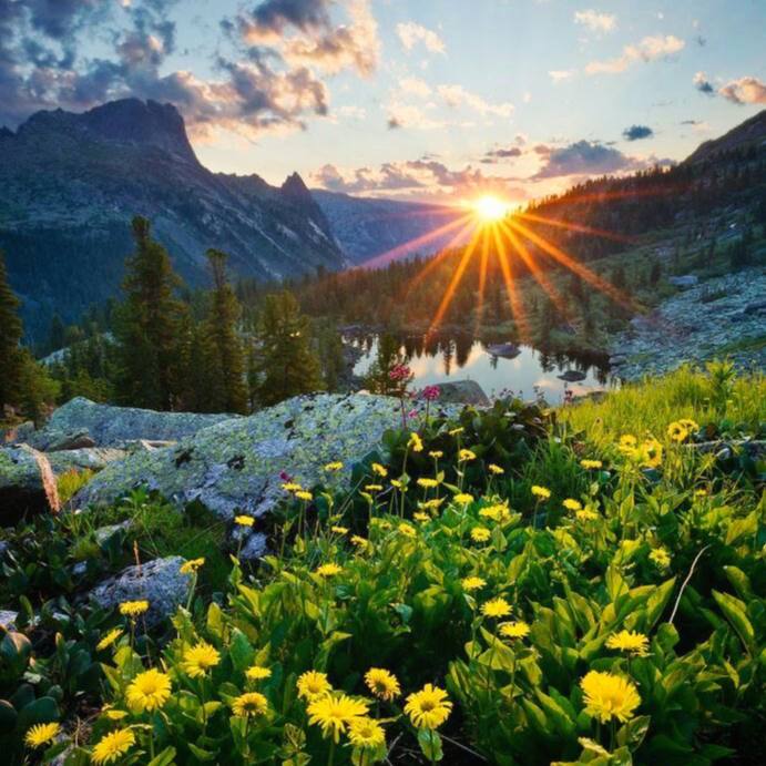 Если голубые небеса наполняют вас радостью, если стебель полевой травы не оставляет вас...