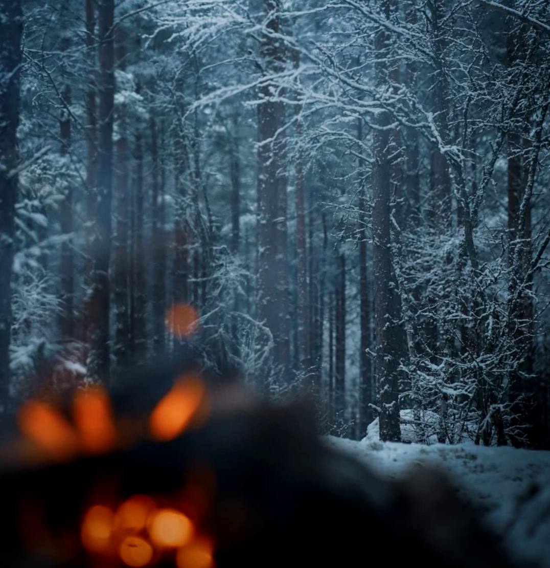 Я с детства испытываю своеобразное волнение перед свежим покровом снега..