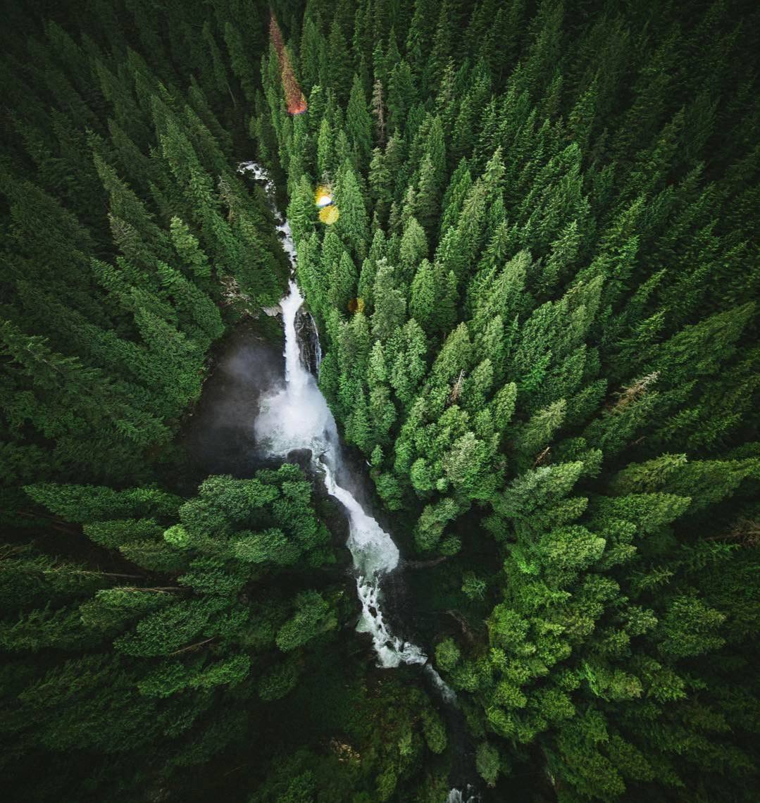 Лес – прекрасное, что есть у человечества на земле. Без леса, мы бы не смогли дышать, развиваться