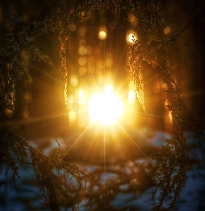 В реальном мире достаточно поводов для благоговейного изумления