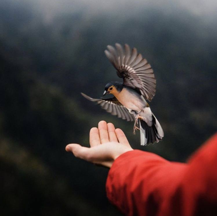 Любовь к миру всегда наполняет меня какой-то гордостью. Ненавидеть гораздо проще.