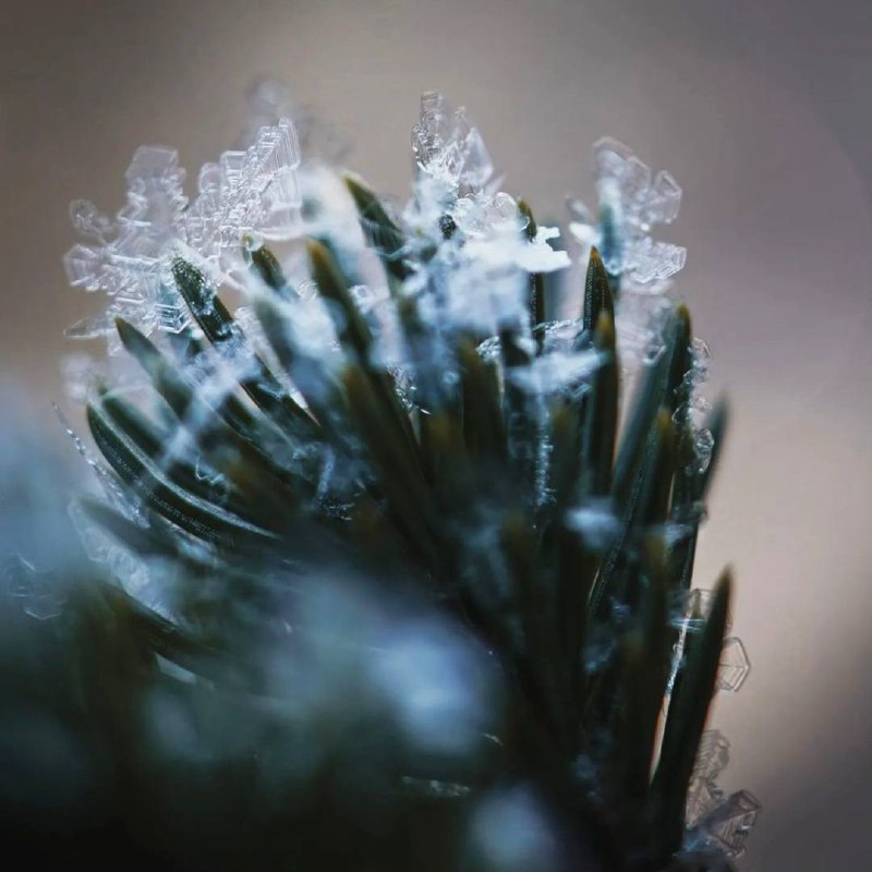 Самое естественное, что есть в этом мире, — перемены. Живое не может быть застывшим.