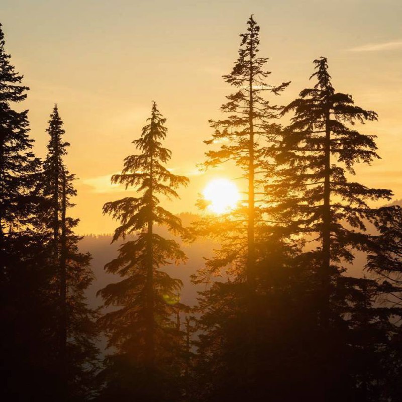 В таких местах лучше бывать одному, правда? А когда толпа, как будто что-то оскверняется, то есть...