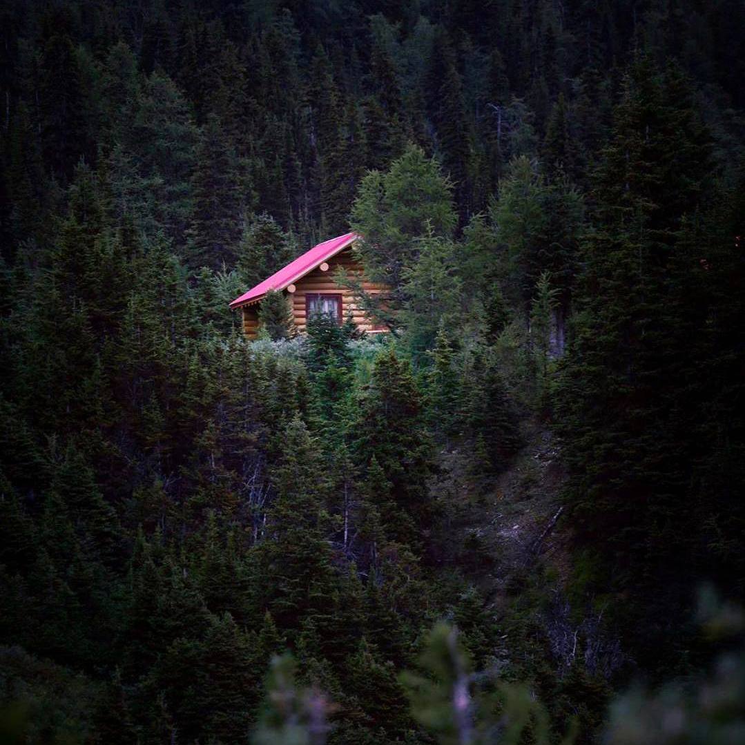 Холод, молчание и одиночество — вещи, которые завтра станут дороже золота