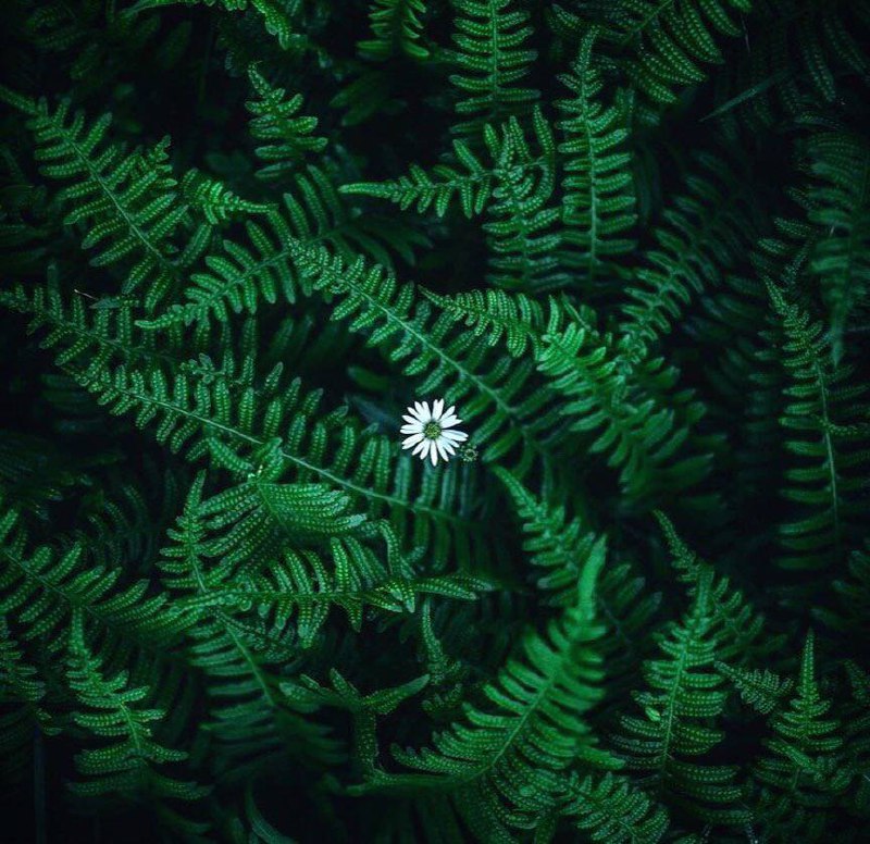 Оставаться собой в мире, который постоянно пытается сделать вас чем-нибудь другим — величайшее...