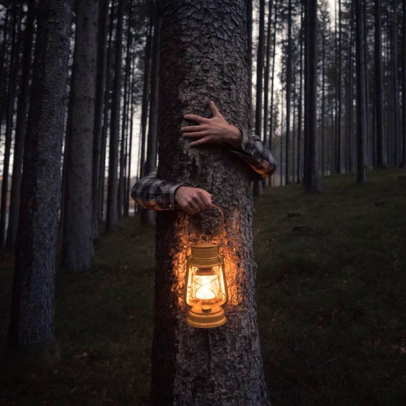 Будь светильником для самого себя, Будь опорой самому себе, Придерживайся собственной правды как...