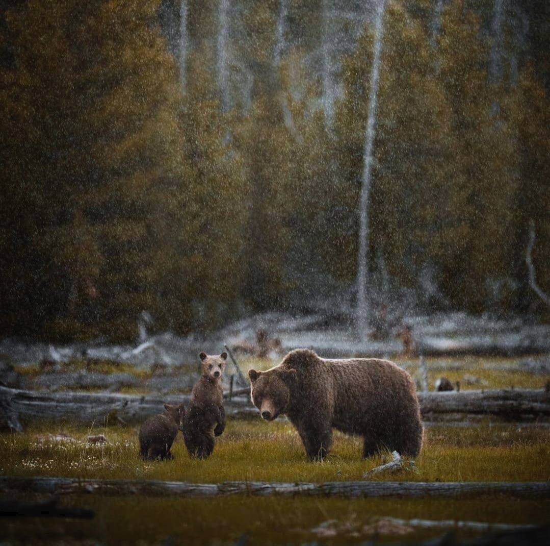 Бойся. Без этого нельзя. Но не трусь