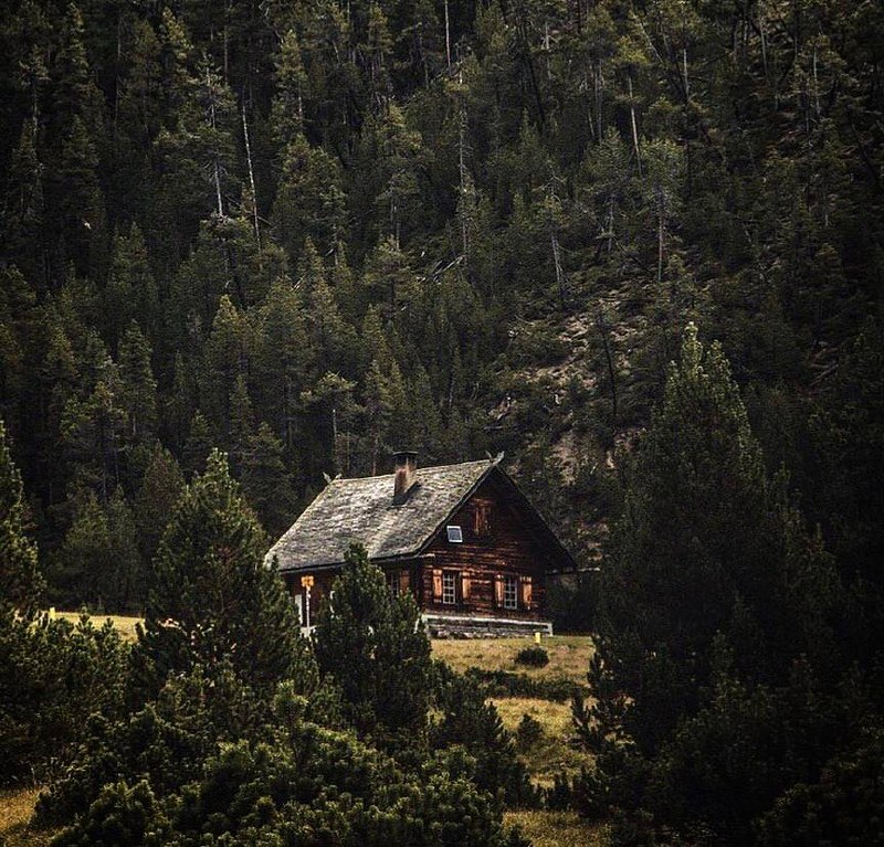Немногие люди способны переносить полное одиночество