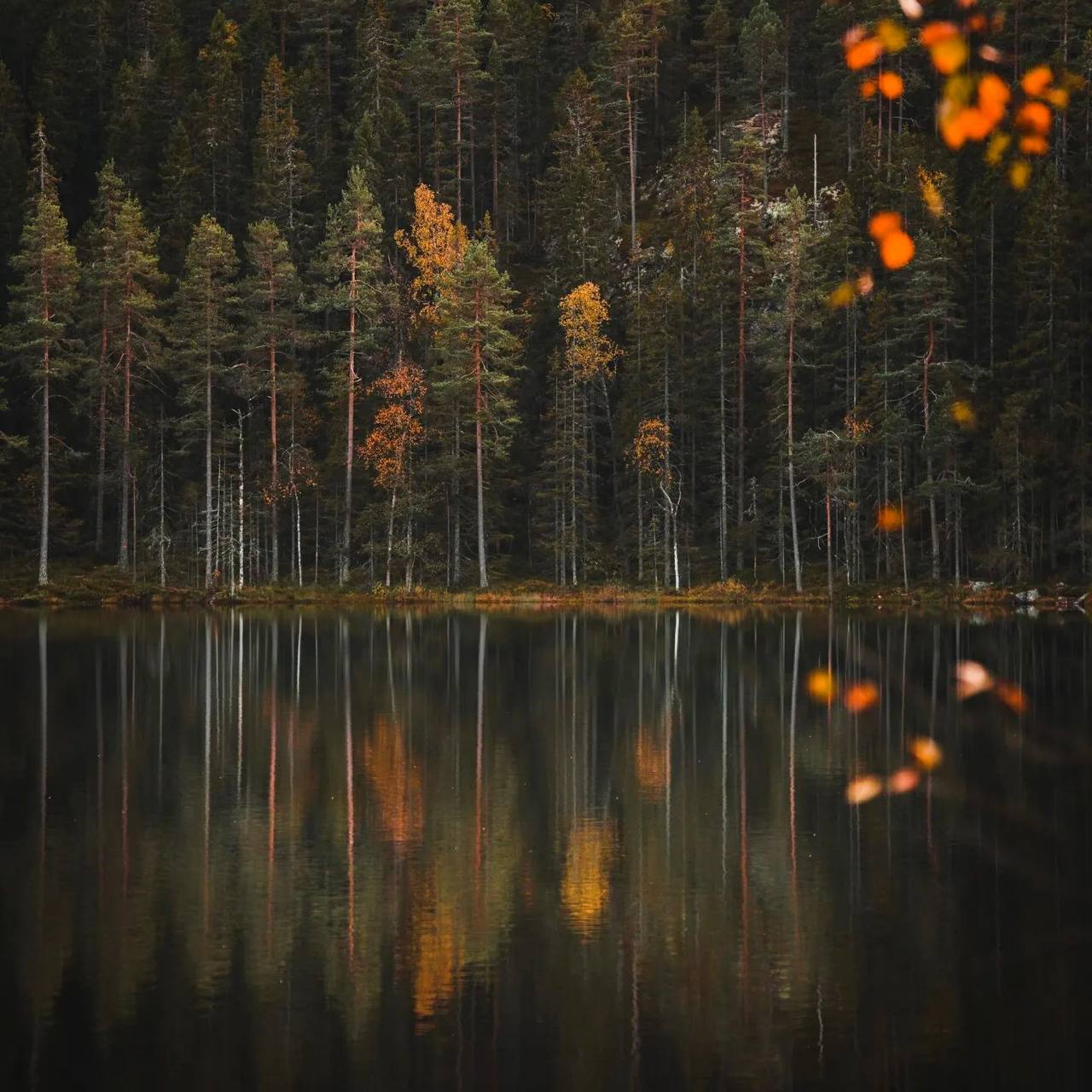 Нужен ли человеку пейзаж? Пейзаж прекрасно обходится без человека, но в некотором смысле и не...