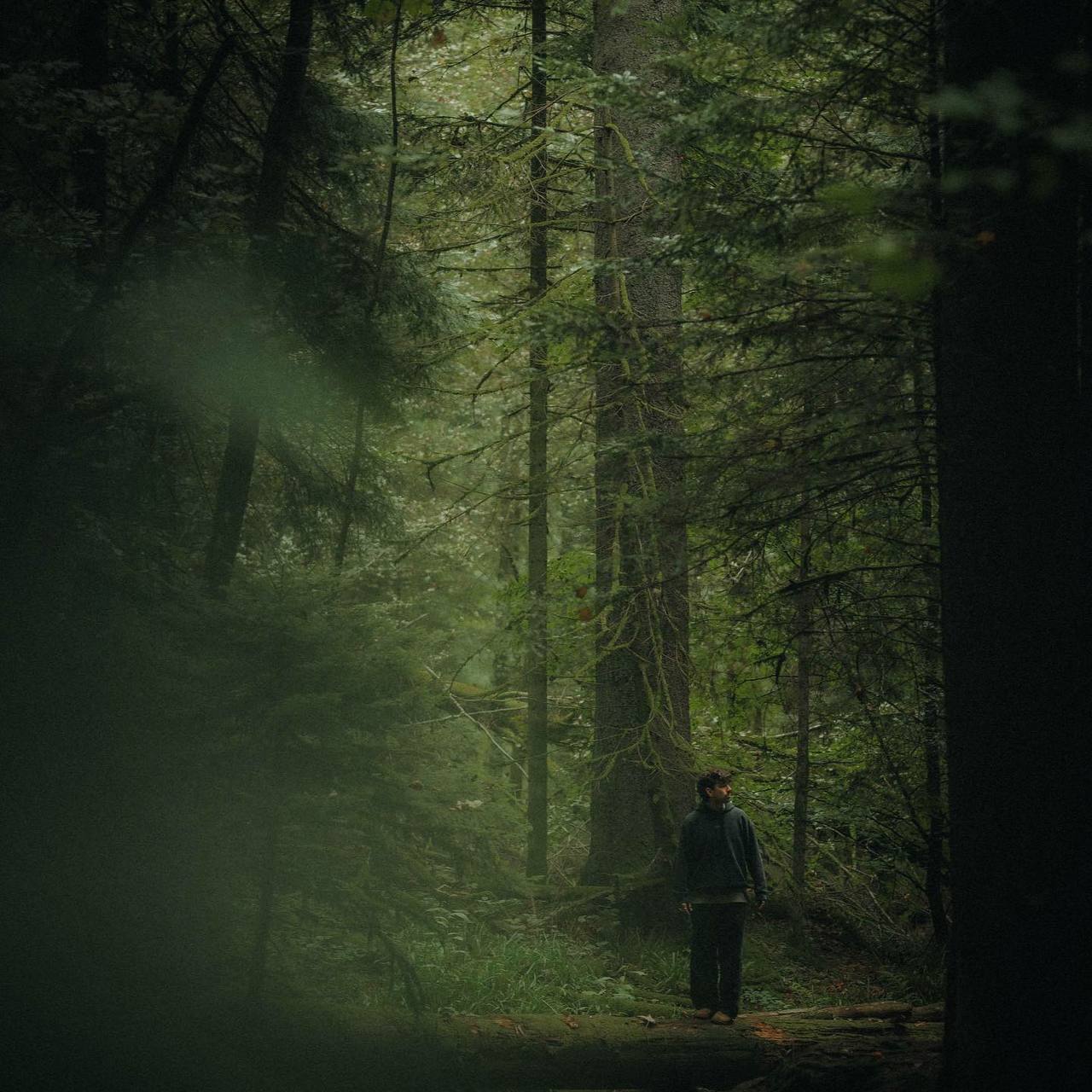 На лоне природы даже тот, кто совсем забыл о своём родстве с ней, с новой силой ощущает эту живую...