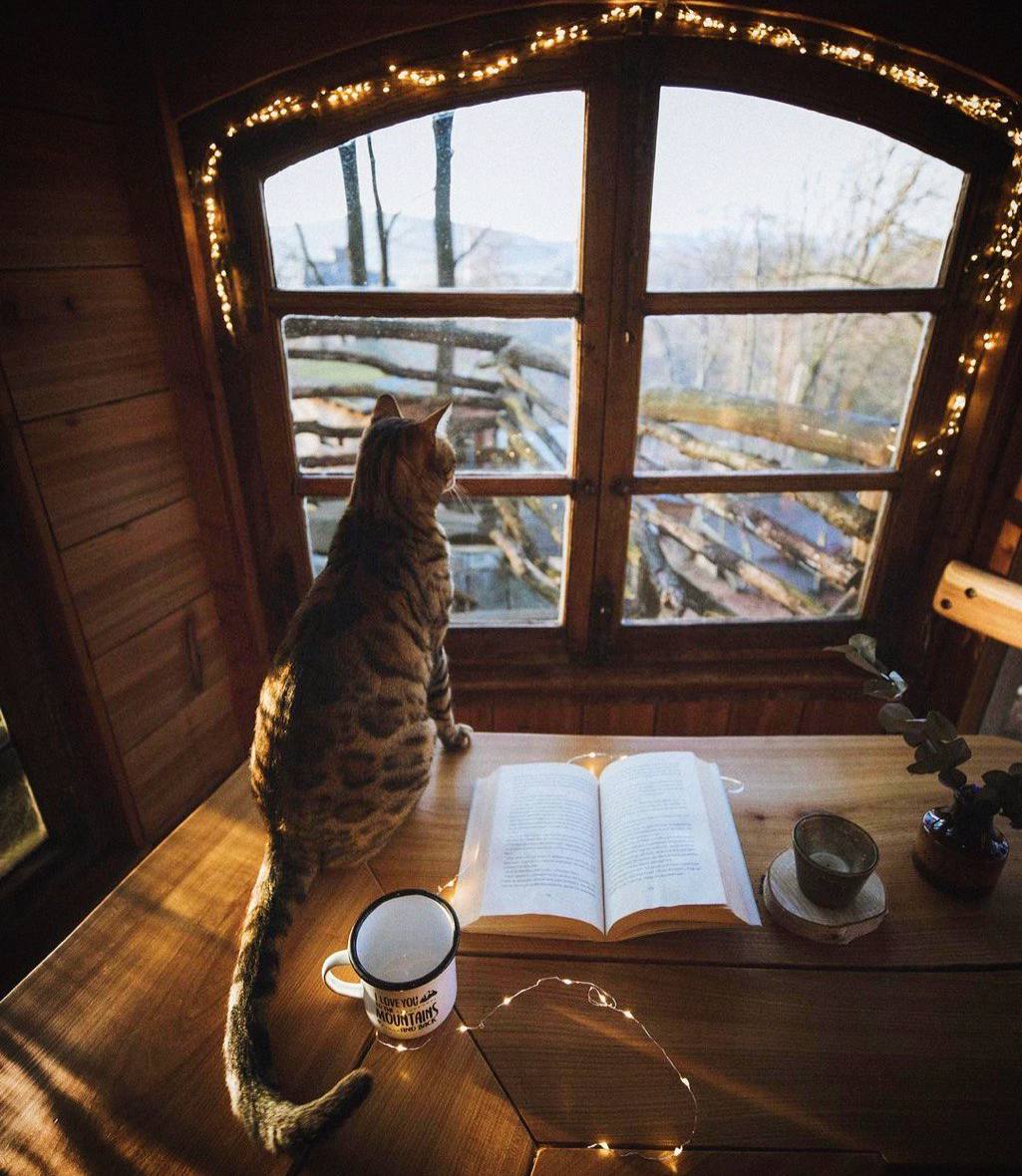 Оказывается, жить в полную силу — это не нестись в путешествие, достигать, приобретать