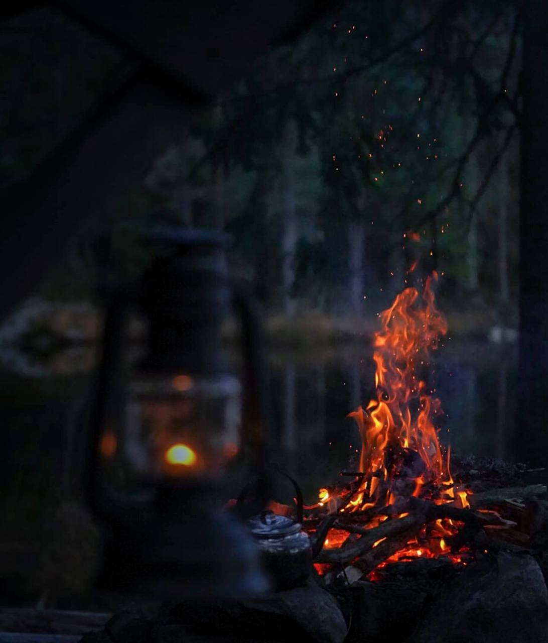 Лучшие мгновения жизни нельзя поймать и сунуть в карман