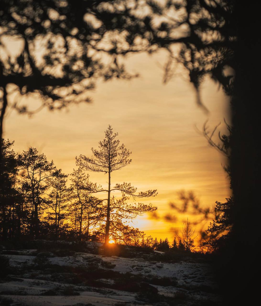Закаты пропитаны грустью