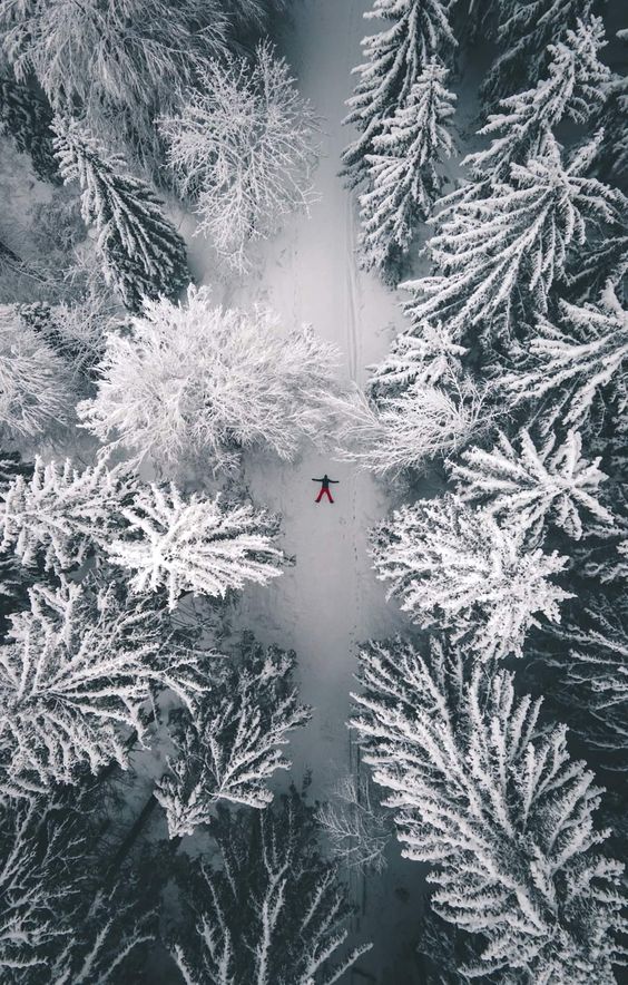 Среди деревьев всегда хорошо, в отличие от людей.