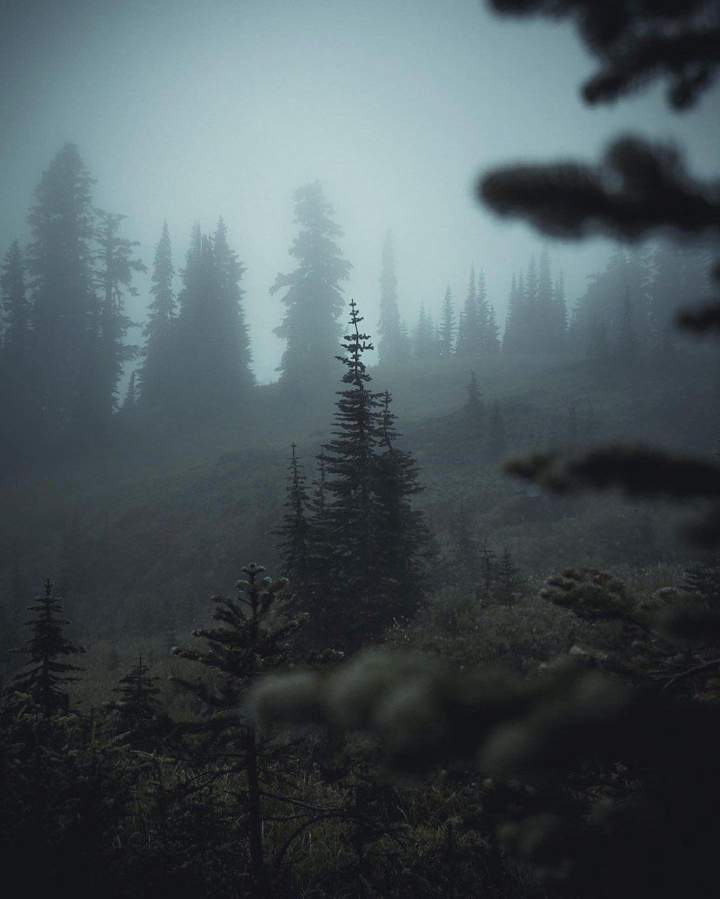 Удаляясь от условий общества и приближаясь к природе, мы невольно становимся детьми; все...