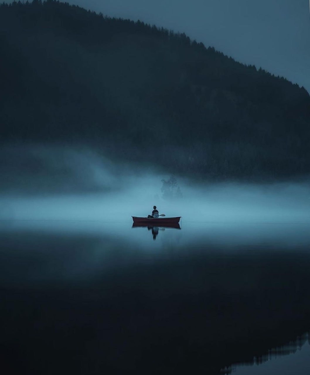 В природе ничто не беспокоится