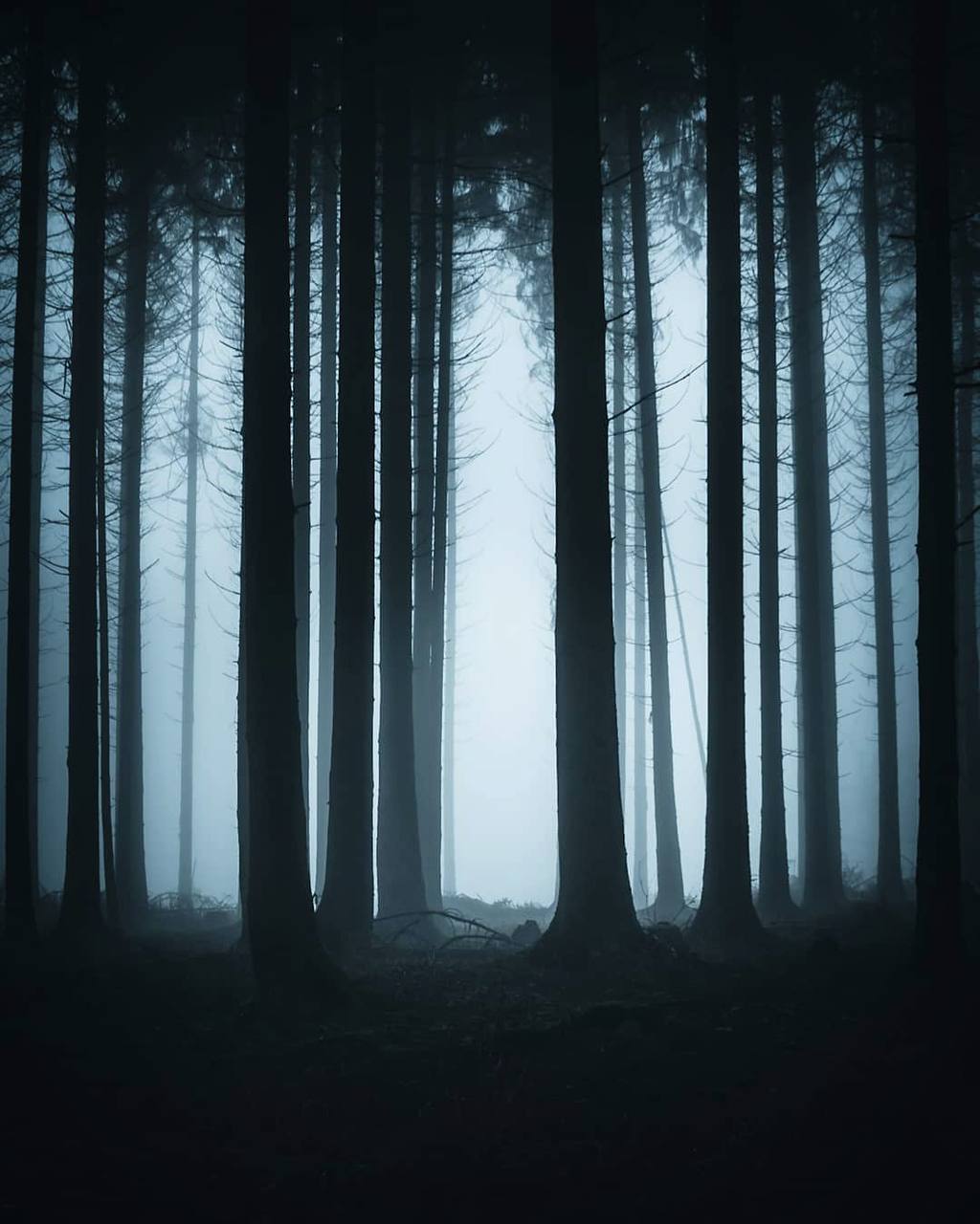 Жизнь любит нагнетать мрак для того, чтобы потом ярче блеснуть своей светлой стороной.